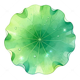 插画风荷叶水珠自然元素设计素材