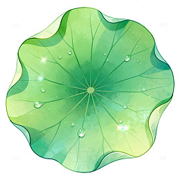 清新风荷叶水珠插画设计素材