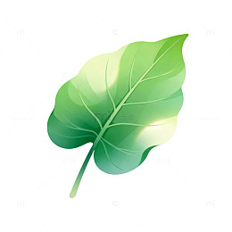 插画风绿叶自然植物设计素材