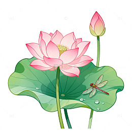 国风水墨风荷花蜻蜓插画设计素材