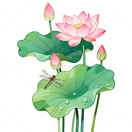 国画风荷花蜻蜓手绘植物插画素材
