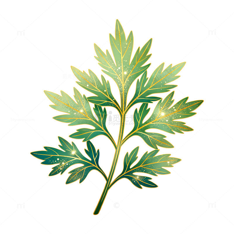 复古风艾草植物手绘插画设计素材