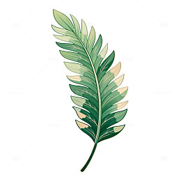 水彩风热带植物叶片手绘设计素材
