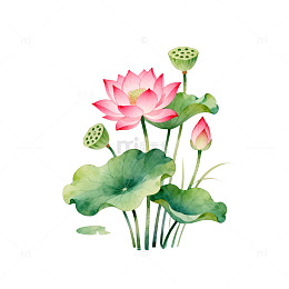 水彩风荷花池塘手绘植物设计素材