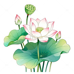 国风水墨风荷花莲花手绘植物设计素材
