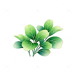 插画风绿叶植物手绘设计素材