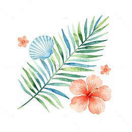 水彩风热带植物花卉插画设计素材
