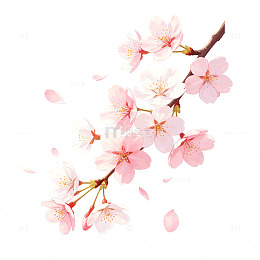 水彩风樱花枝条手绘花卉设计素材