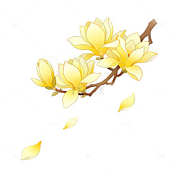 手绘风玉兰花枝插画设计素材