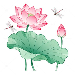 国风水墨风荷花蜻蜓插画设计素材