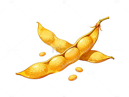 插画风黄豆荚果实手绘设计素材
