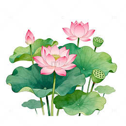 水彩风荷花池塘手绘植物插画素材