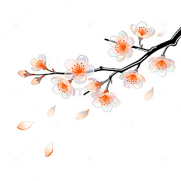 水墨风樱花枝条手绘花卉设计素材