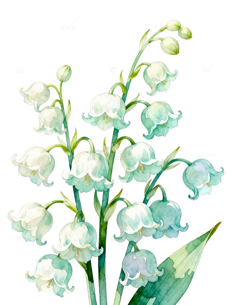 水彩风铃兰花手绘花卉设计素材