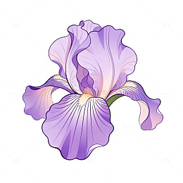 手绘风紫色鸢尾花矢量设计素材