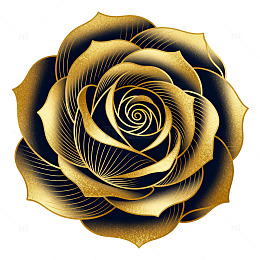 金色线条玫瑰花矢量设计素材