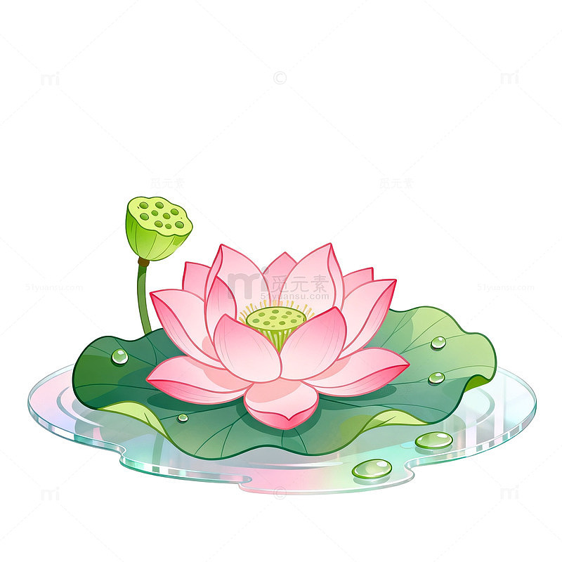卡通风格荷花荷叶插画设计素材