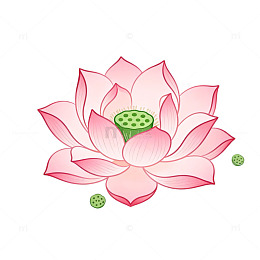 卡通风格莲花池塘插画设计素材