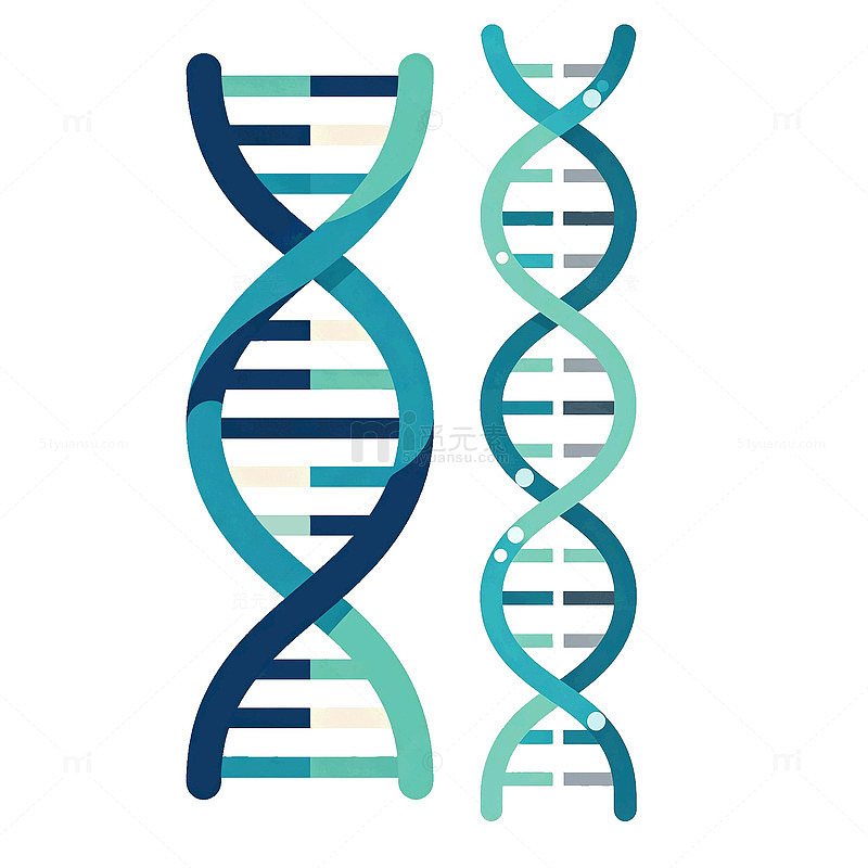 扁平风DNA双螺旋结构矢量设计素材