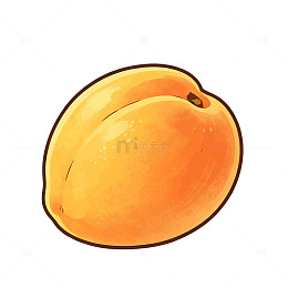 手绘风新鲜杏子水果插画素材