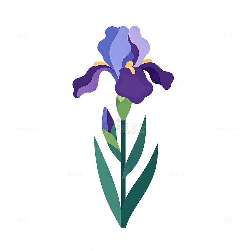 扁平风鸢尾花植物插画设计素材