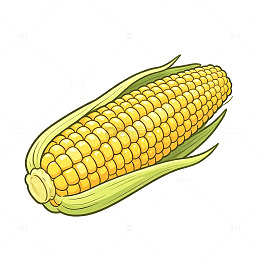卡通风格玉米蔬菜插画设计素材