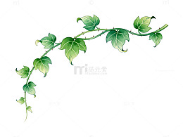 水彩风绿叶藤蔓手绘植物装饰素材