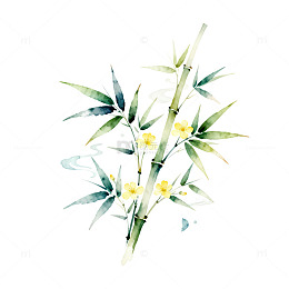 水墨风竹枝花卉水彩插画设计素材