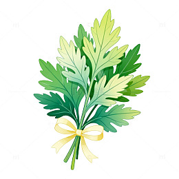手绘风艾草植物插画设计素材