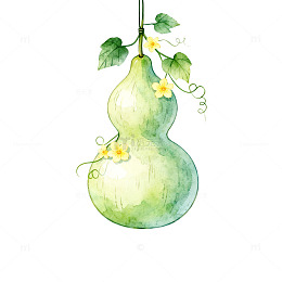 水彩风葫芦植物手绘插画设计素材
