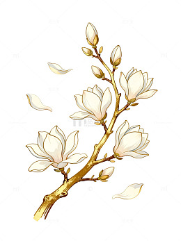 手绘风玉兰花枝插画设计素材