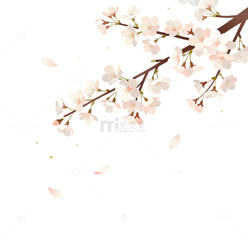 日式风格樱花枝条插画设计素材