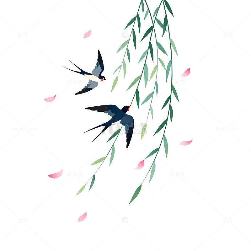 水彩风燕子柳枝花瓣插画设计素材