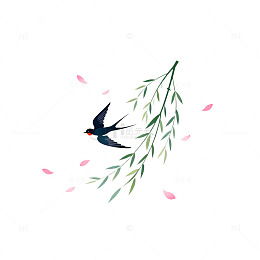 水彩风燕子柳枝花瓣插画设计素材