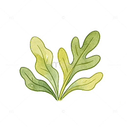 水彩风绿叶植物手绘插画设计素材免抠