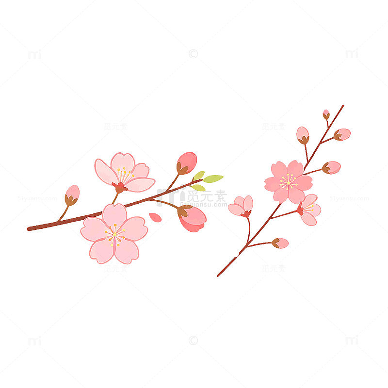 手绘风樱花枝条花卉插画设计素材