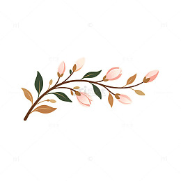 简约风樱花枝条手绘插画设计素材