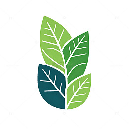 简约风绿色植物叶子矢量设计素材