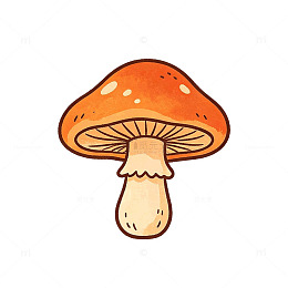 卡通风橙色蘑菇手绘插画设计素材