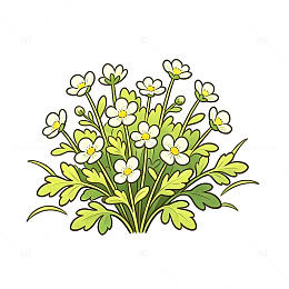 手绘风春日小花植物插画设计素材