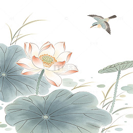 国风水墨风荷花飞鸟插画设计素材