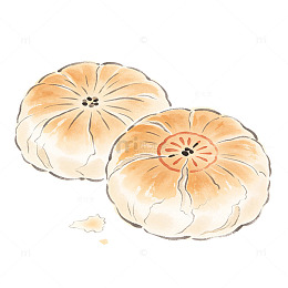 手绘风南瓜切面插画设计素材