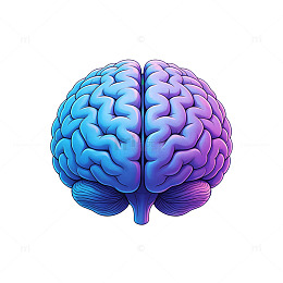渐变色大脑结构3D渲染设计素材