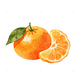 水彩风橙子水果手绘插画设计素材