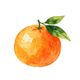 水彩风橙子果实手绘插画设计素材