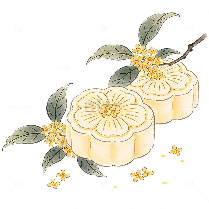 国风手绘桂花月饼插画设计素材