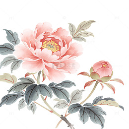 水彩风牡丹花枝手绘花卉设计素材