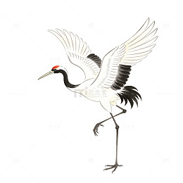 国画风仙鹤展翅飞翔插画设计素材