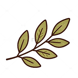 简约风橄榄枝叶手绘插画设计素材