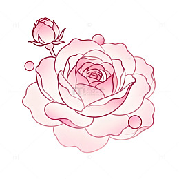 手绘风玫瑰花图案设计素材
